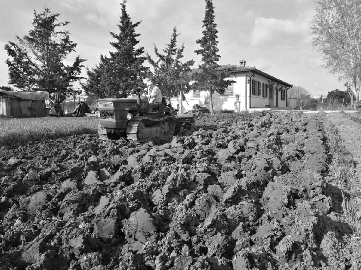 Masseria Le Querciole Fauglia Exterior foto